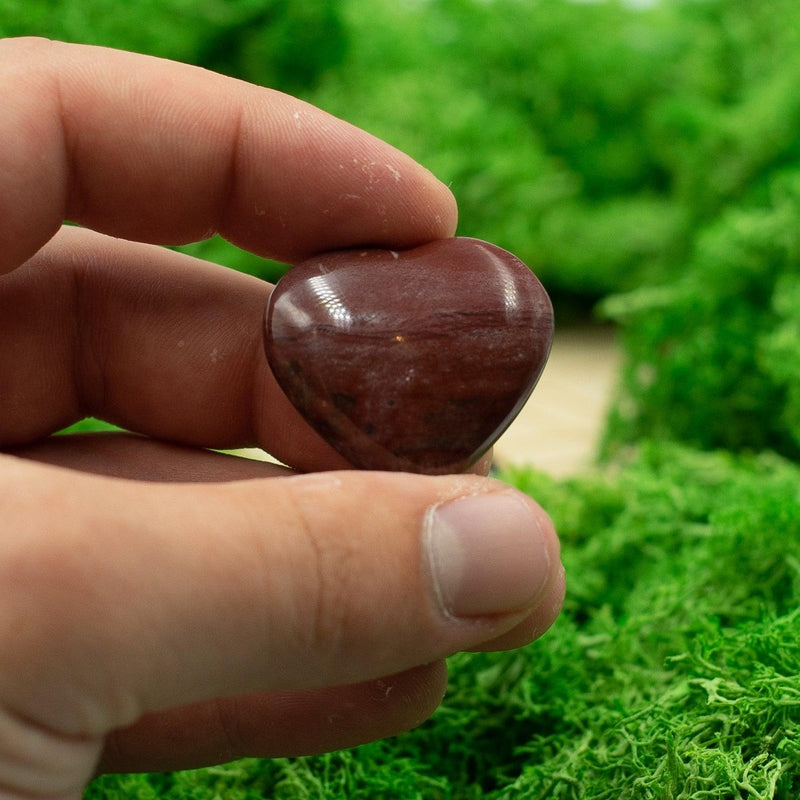 Natural Petrified Wood Pocket Hearts || Grounding, Inner Peace-Nature's Treasures