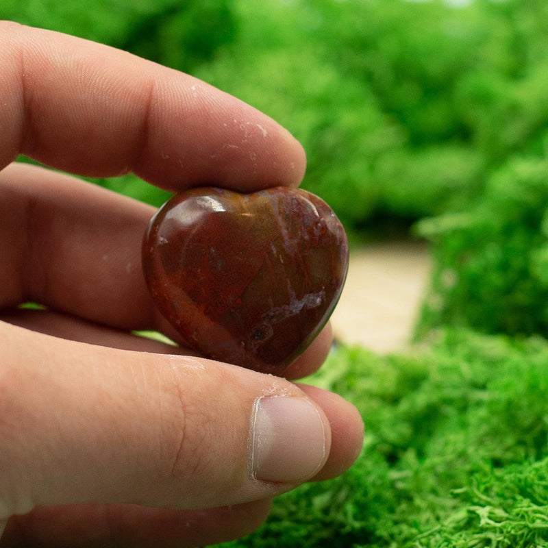 Natural Petrified Wood Pocket Hearts || Grounding, Inner Peace-Nature's Treasures