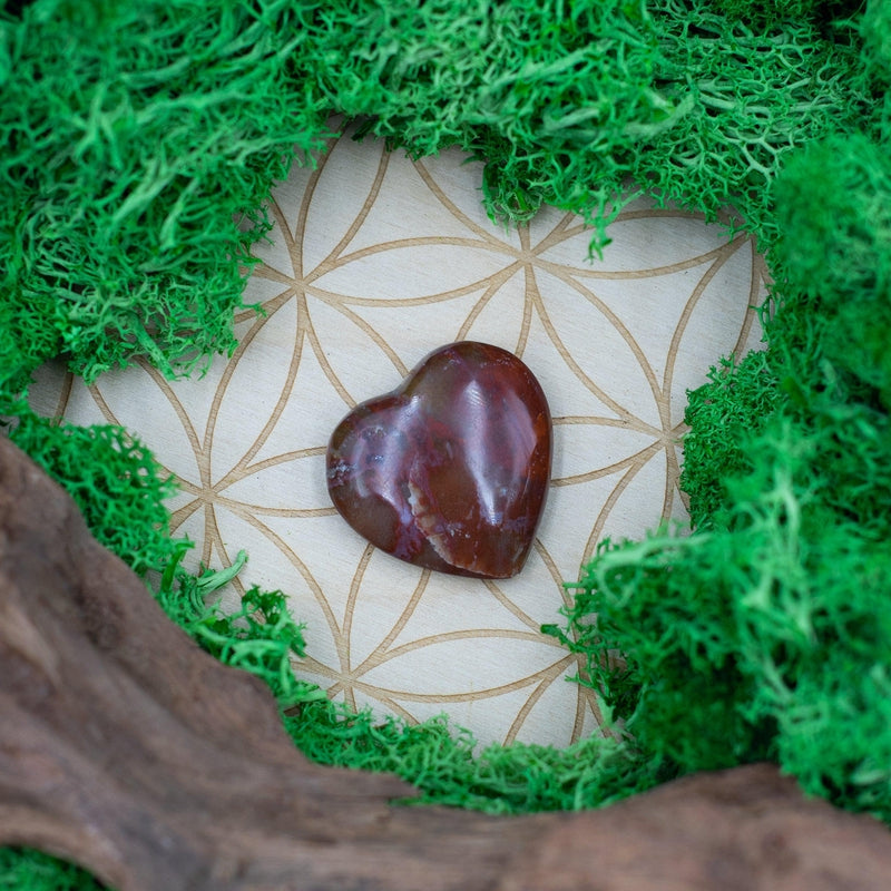 Natural Petrified Wood Pocket Hearts || Grounding, Inner Peace-Nature's Treasures