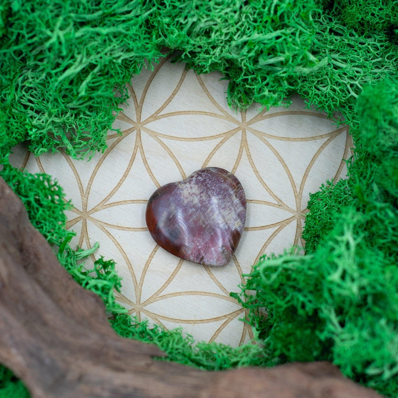 Natural Petrified Wood Pocket Hearts || Grounding, Inner Peace-Nature's Treasures
