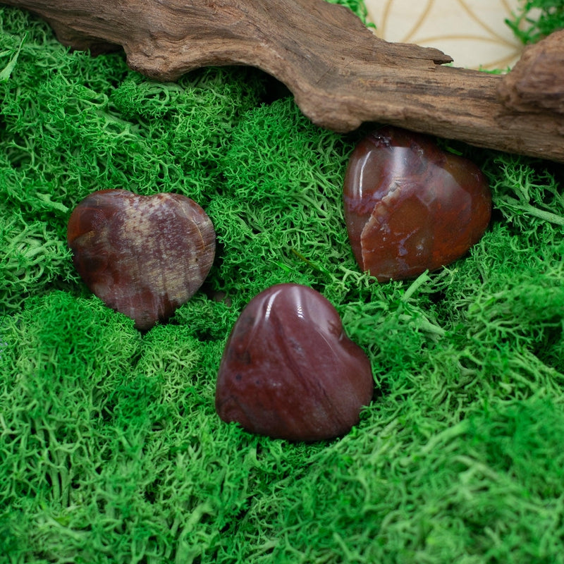 Natural Petrified Wood Pocket Hearts || Grounding, Inner Peace-Nature's Treasures