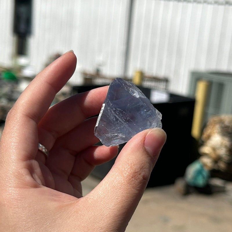 Natural Raw Blue Fluorite Crystal Pieces || Trunk Show 2024-Nature's Treasures