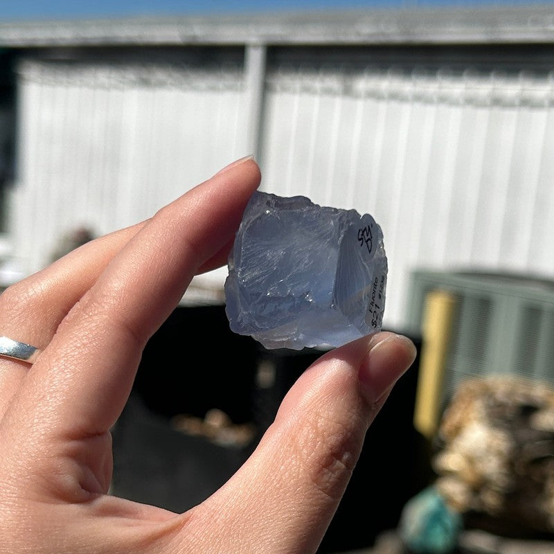 Natural Raw Blue Fluorite Crystal Pieces || Trunk Show 2024-Nature's Treasures