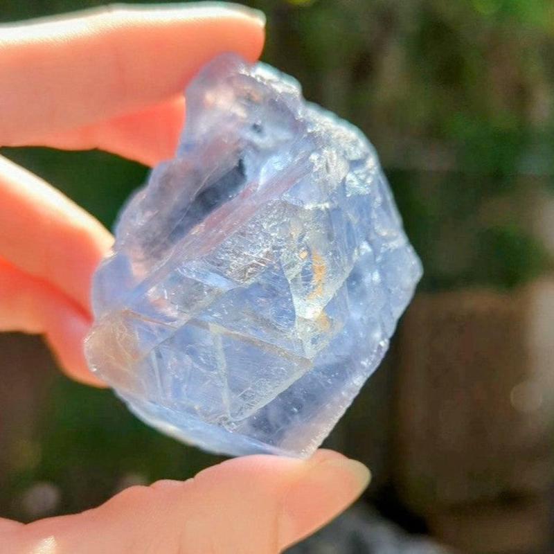 Natural Raw Blue Fluorite Crystal Pieces || Trunk Show 2024-Nature's Treasures