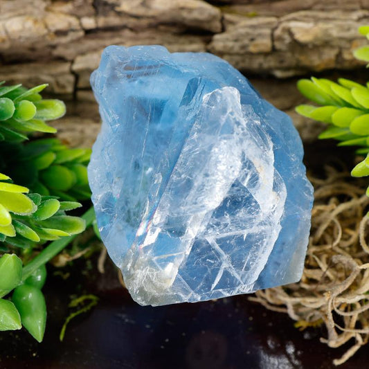 Natural Raw Blue Fluorite Crystal Pieces || Trunk Show 2024-Nature's Treasures