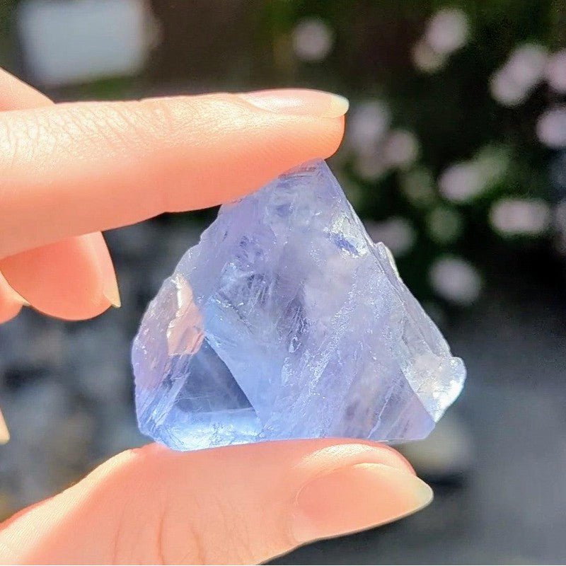 Natural Raw Blue Fluorite Crystal Pieces || Trunk Show 2024-Nature's Treasures