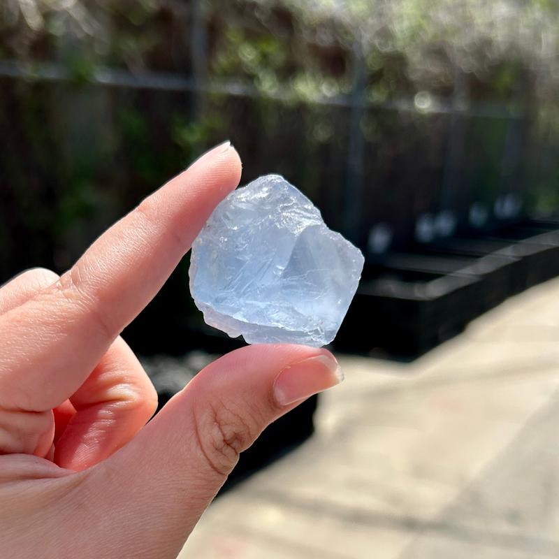 Natural Raw Blue Fluorite Crystal Pieces || Trunk Show 2024-Nature's Treasures