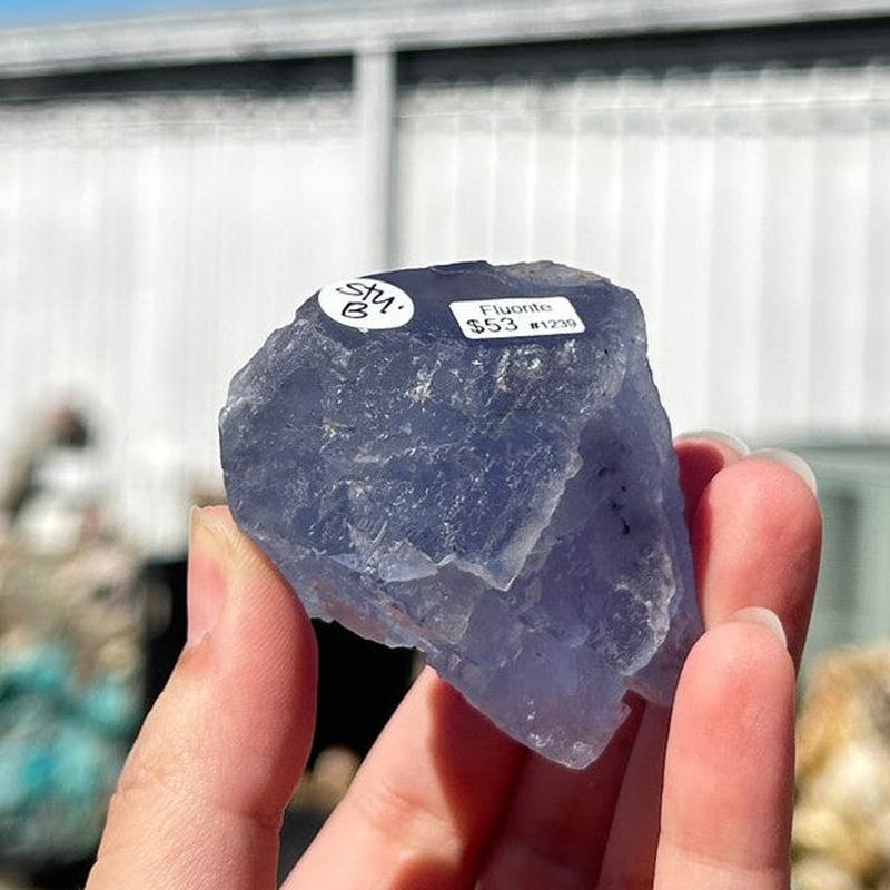 Natural Raw Blue Fluorite Crystal Pieces || Trunk Show 2024-Nature's Treasures