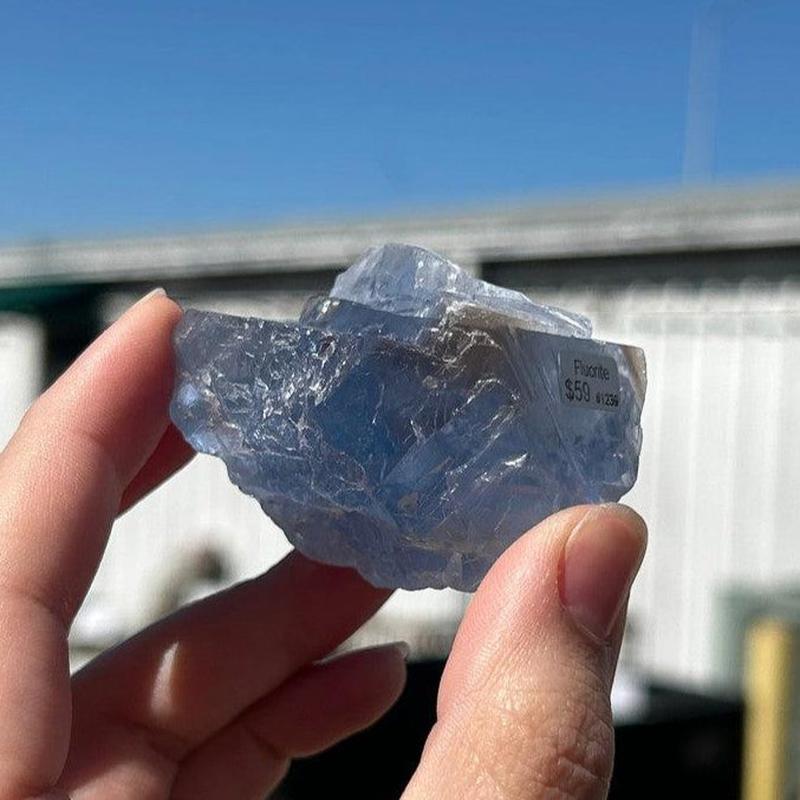 Natural Raw Blue Fluorite Crystal Pieces || Trunk Show 2024-Nature's Treasures