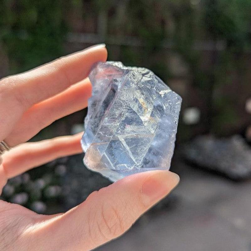 Natural Raw Blue Fluorite Crystal Pieces || Trunk Show 2024-Nature's Treasures