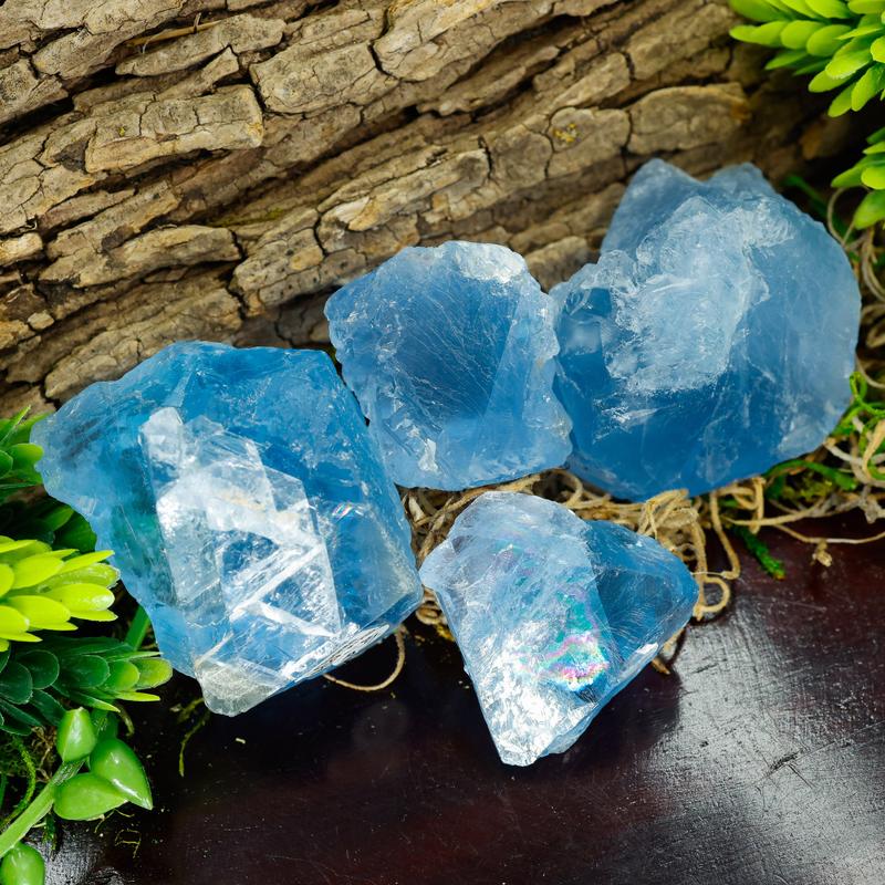 Natural Raw Blue Fluorite Crystal Pieces || Trunk Show 2024-Nature's Treasures