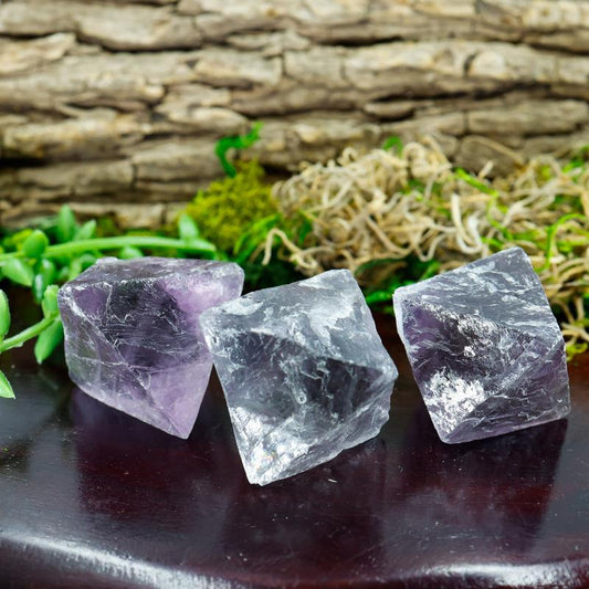 Natural Rough Large Purple Fluorite Octahedron || Trunk Show 2024-Nature's Treasures