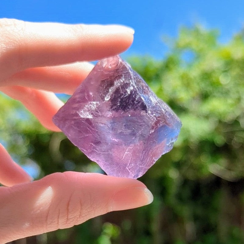 Natural Rough Large Purple Fluorite Octahedron || Trunk Show 2024-Nature's Treasures