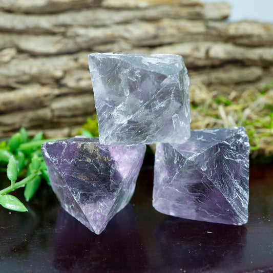 Natural Rough Large Purple Fluorite Octahedron || Trunk Show 2024-Nature's Treasures