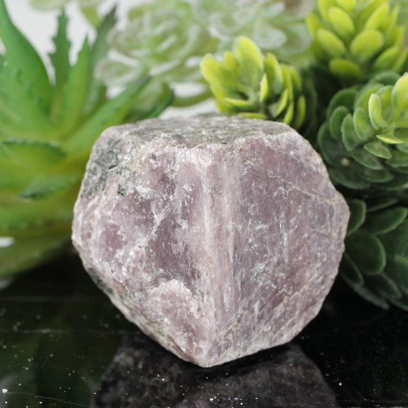 Natural Rough Ruby Specimens || India-Nature's Treasures