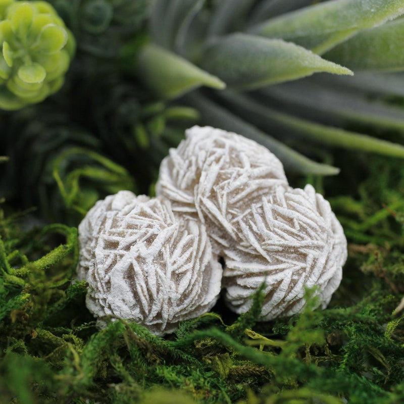 Natural Selenite Desert Rose Clusters || Purification || Mexico