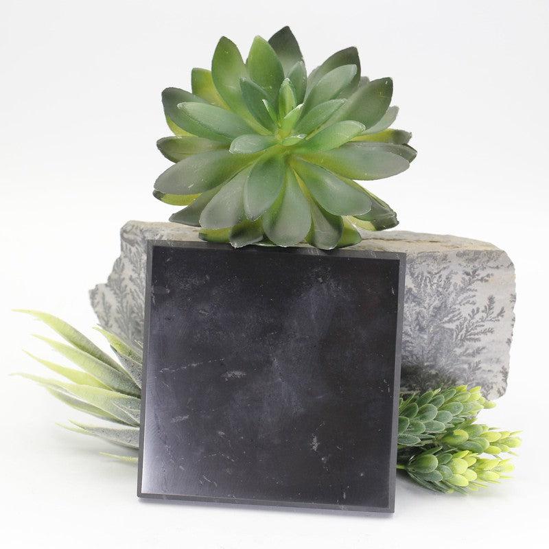 Natural Shungite Square Tile Charging Plates || EMF Blocker-Nature's Treasures