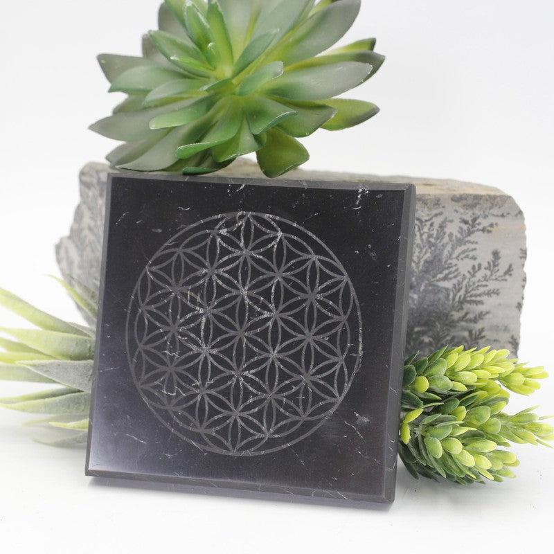 Natural Shungite Square Tile Charging Plates || EMF Blocker-Nature's Treasures