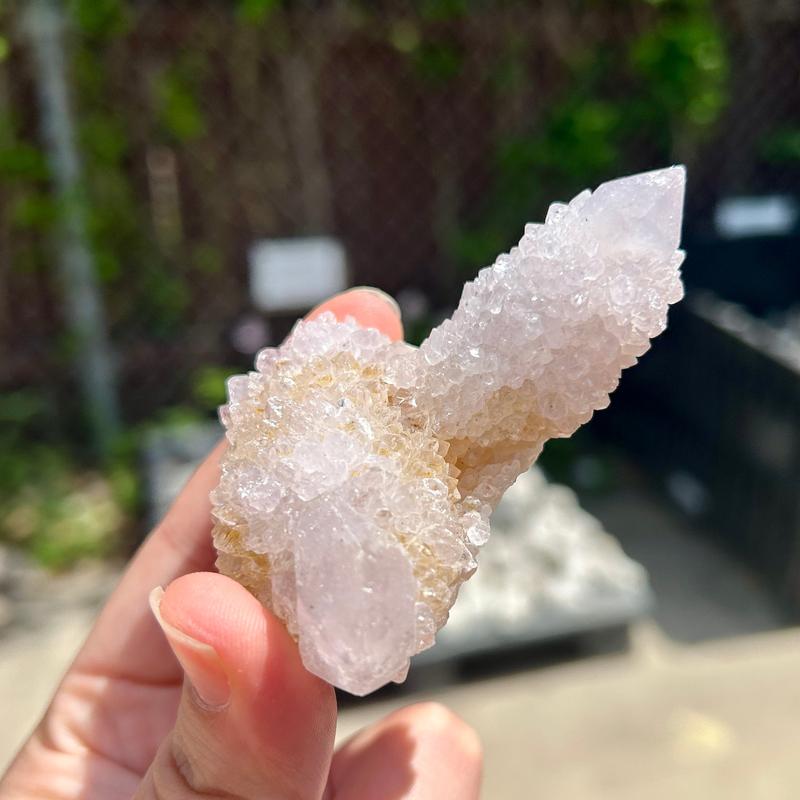Natural Spirit Quartz Clusters || Trunk Show-Nature's Treasures