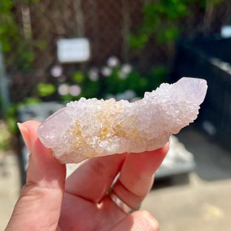 Natural Spirit Quartz Clusters || Trunk Show-Nature's Treasures