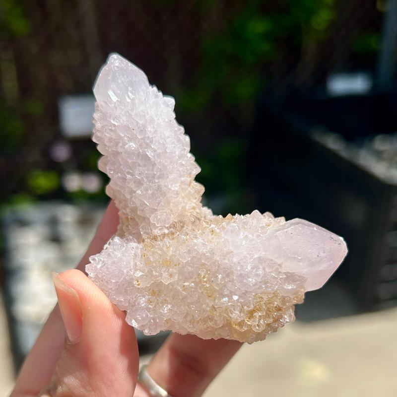 Natural Spirit Quartz Clusters || Trunk Show-Nature's Treasures