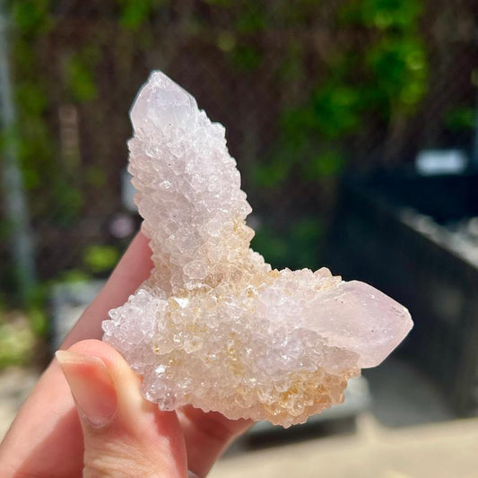 Natural Spirit Quartz Clusters || Trunk Show-Nature's Treasures
