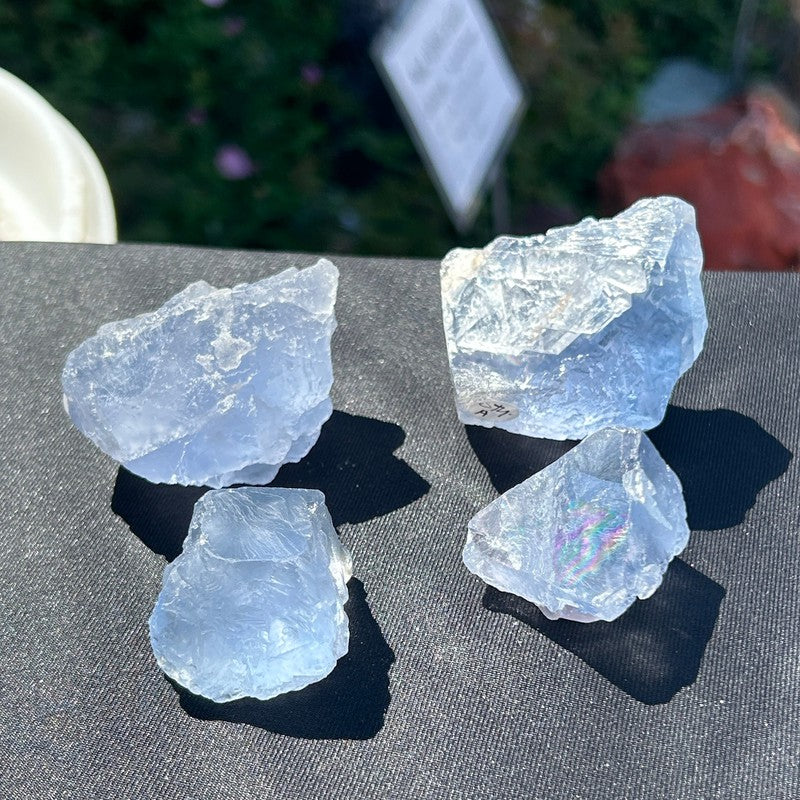 Natural rough Blue Fluorite Chunks