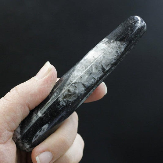Orthoceras Stone Massage Tool | Orthoceras Fossil Massage Stone | Reflexology Tool-Nature's Treasures