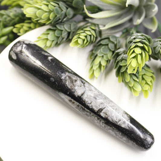Orthoceras Stone Massage Tool | Orthoceras Fossil Massage Stone | Reflexology Tool-Nature's Treasures