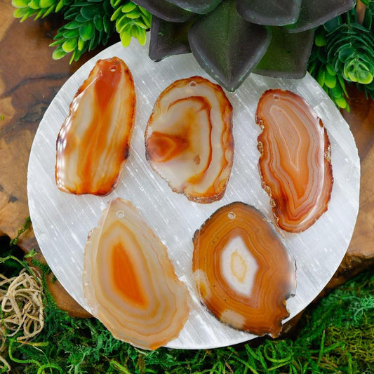 Polished Agate Slices with Drilled Hole || Brazil-Nature's Treasures