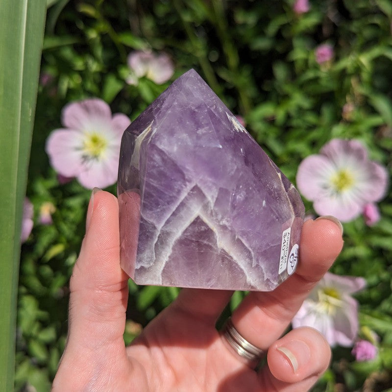 Polished Amethyst Points