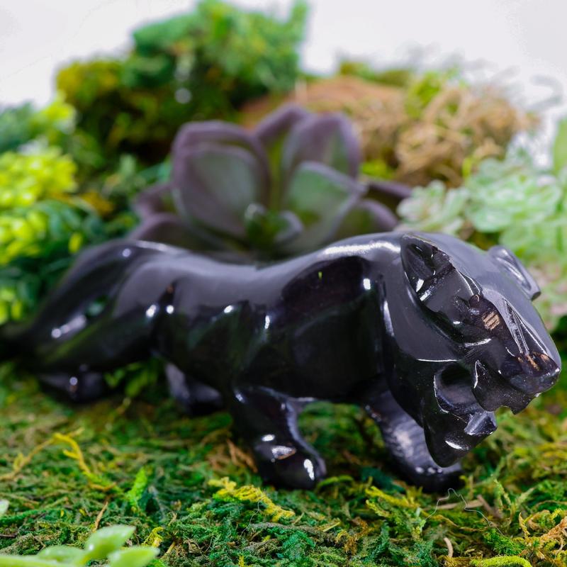 Polished Black Obsidian Glass Panther Statue || Mexico-Nature's Treasures