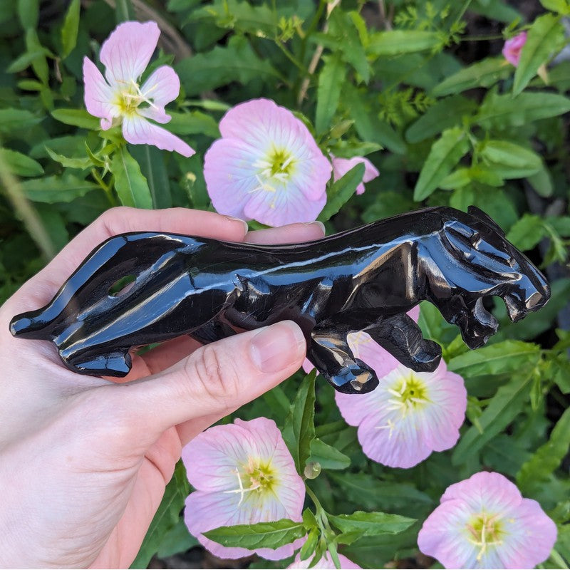 Polished Black Obsidian Glass Panther Statue || Mexico-Nature's Treasures