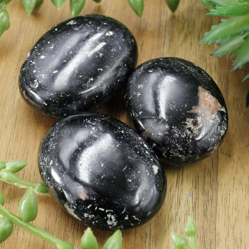 Polished Black Tourmaline Palm Stones || Protection || India-Nature's Treasures