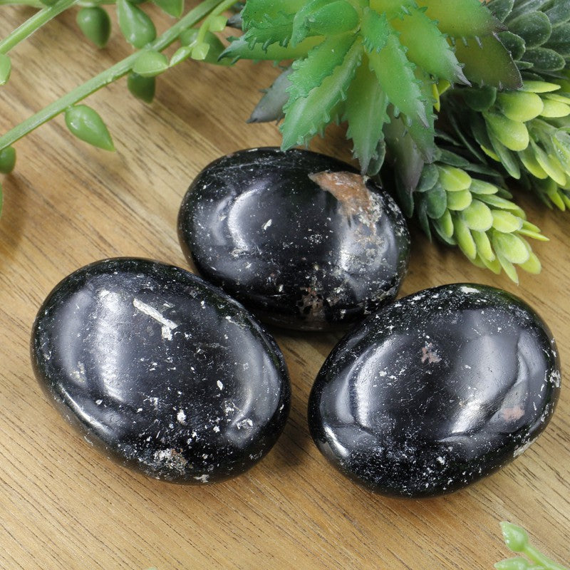 Polished Black Tourmaline Palm Stones || Protection || India
