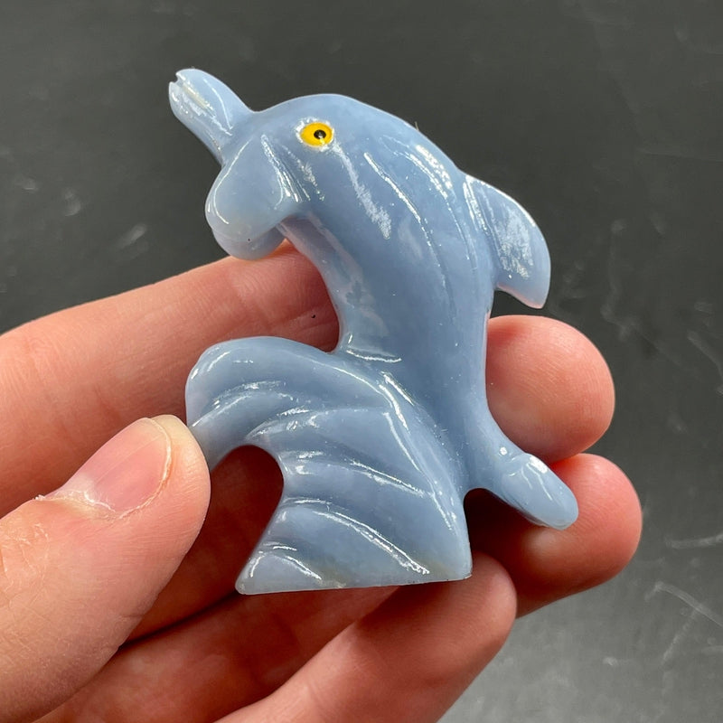 Polished Blue Anhydrite Angelite Dolphin Carvings || Peru-Nature's Treasures