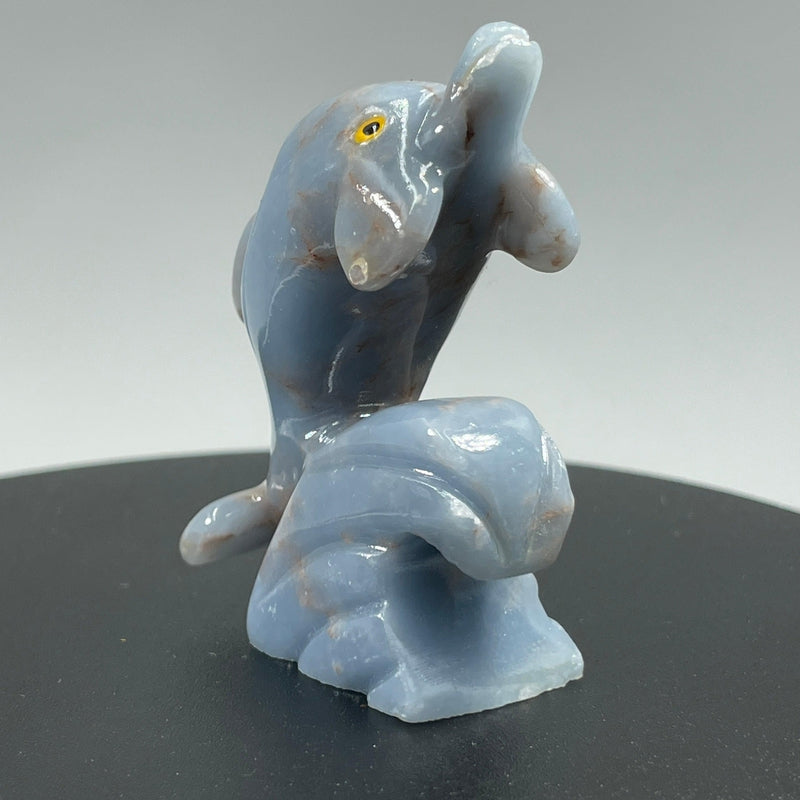 Polished Blue Anhydrite Angelite Dolphin Carvings || Peru-Nature's Treasures