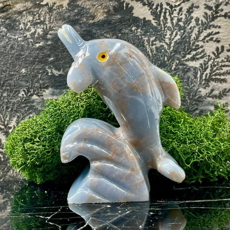Polished Blue Anhydrite Angelite Dolphin Carvings || Peru-Nature's Treasures