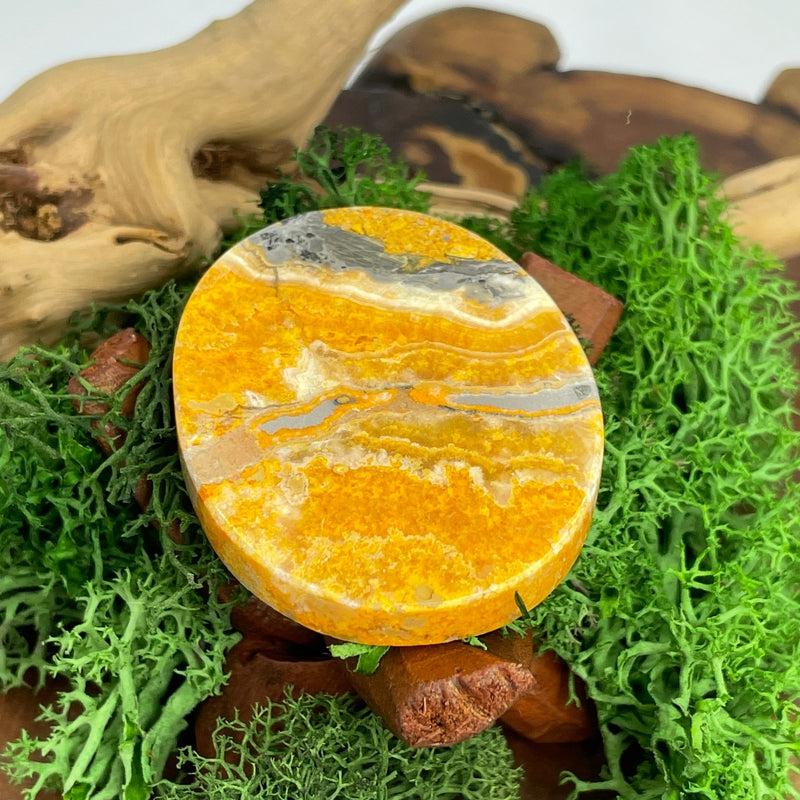 Polished Bumble Bee Jasper Palm Stone || Indonesia-Nature's Treasures