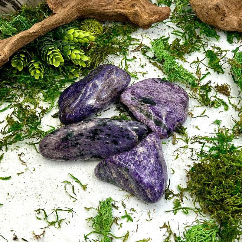 Polished Charoite Gallet Palm stone || Russia-Nature's Treasures