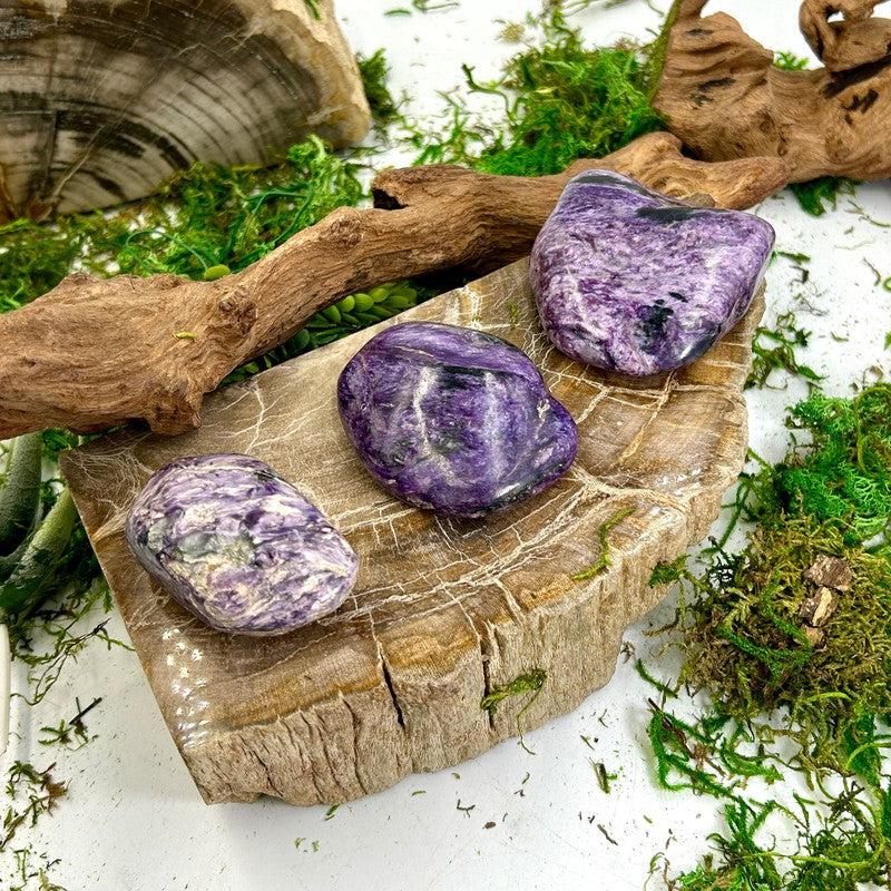 Polished Charoite Gallet Palm stone || Russia-Nature's Treasures