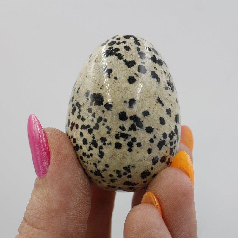 Polished Dalmatian Jasper Eggs 45mm || Protection-Nature's Treasures