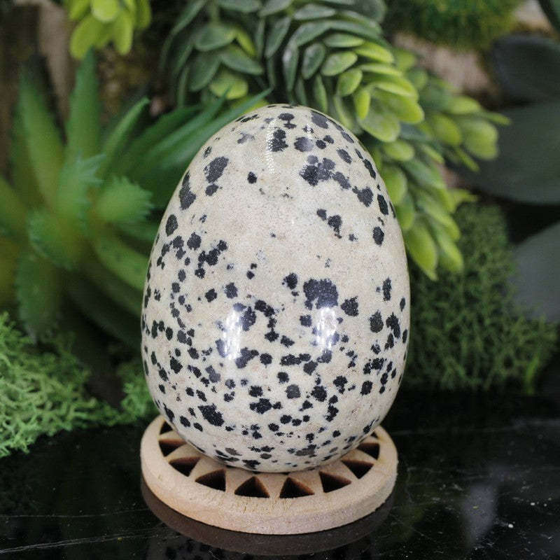 Polished Dalmatian Jasper Eggs 45mm || Protection-Nature's Treasures