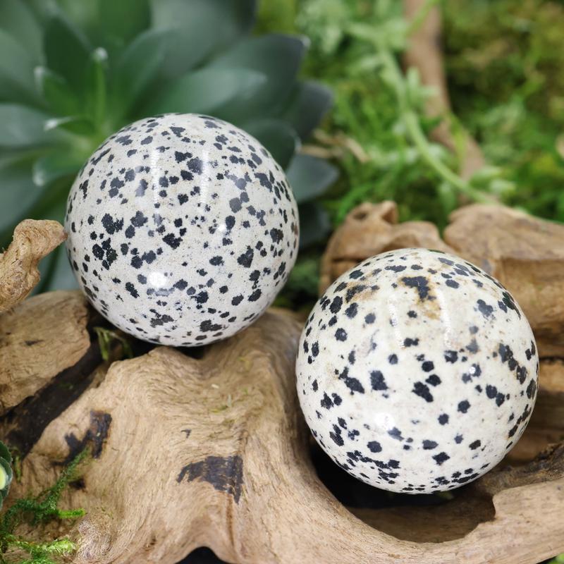 Polished Dalmatian Jasper Sphere || 40 MM-Nature's Treasures
