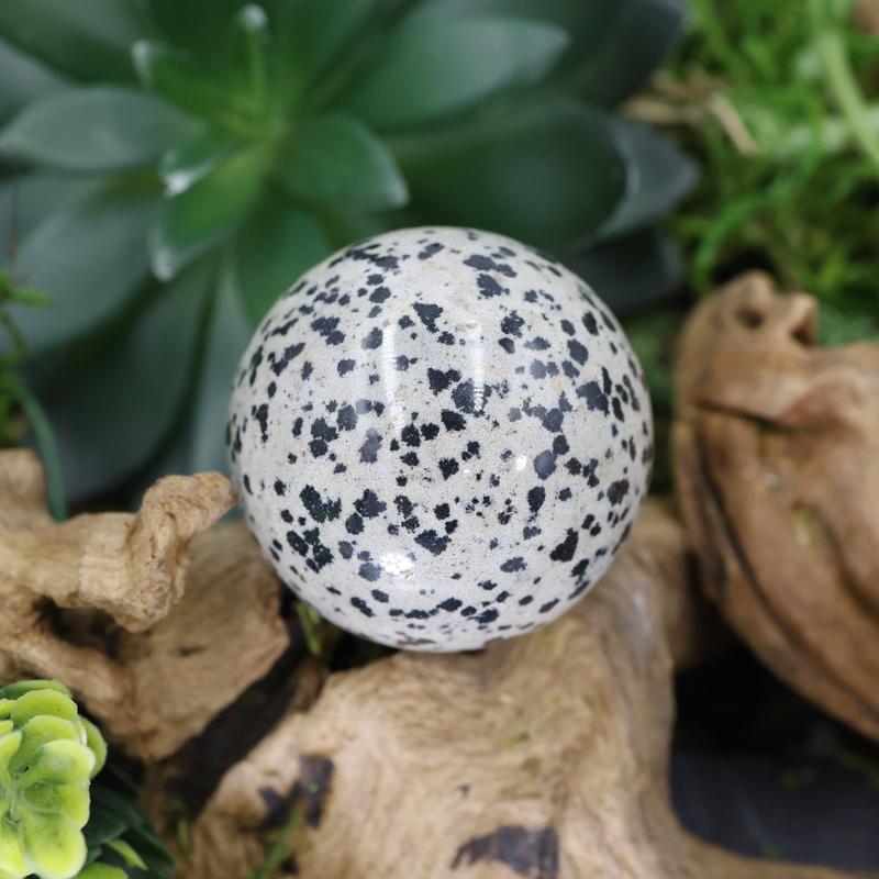Polished Dalmatian Jasper Sphere || 40 MM-Nature's Treasures