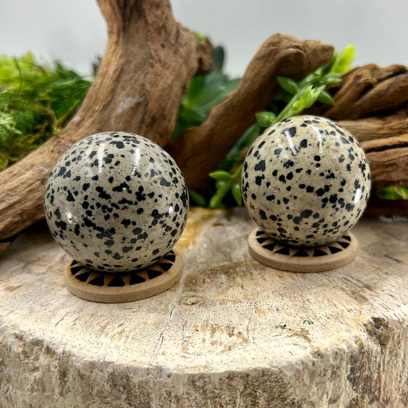 Polished Dalmatian Jasper Sphere || 40 MM-Nature's Treasures