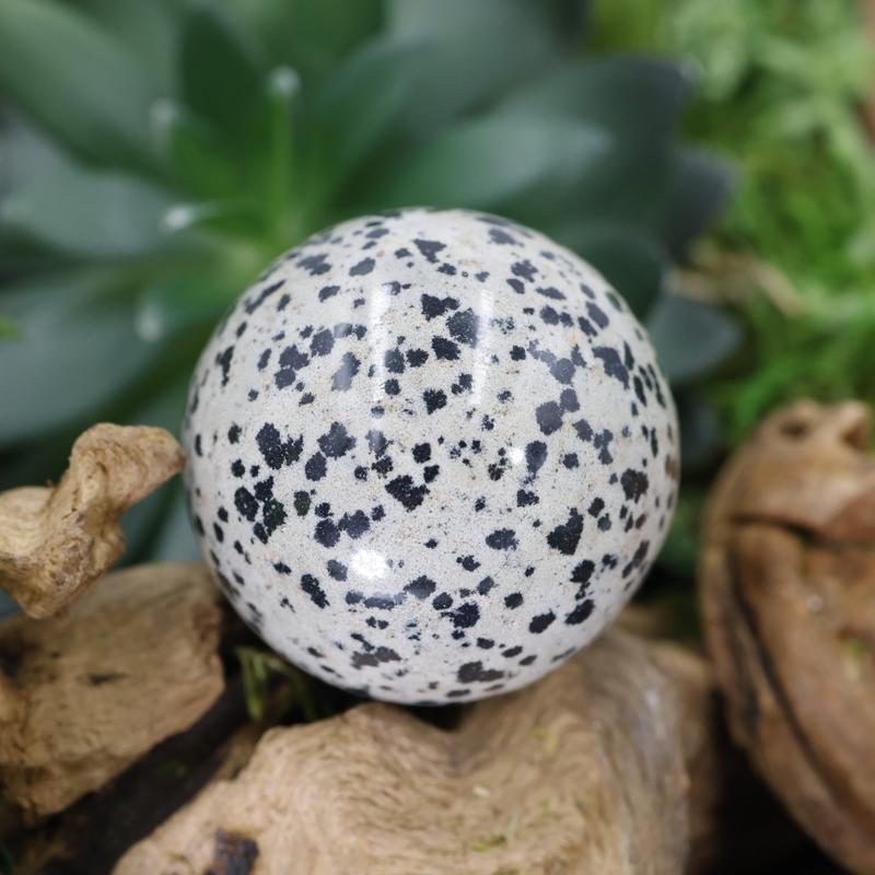 Polished Dalmatian Jasper Sphere || 40 MM-Nature's Treasures