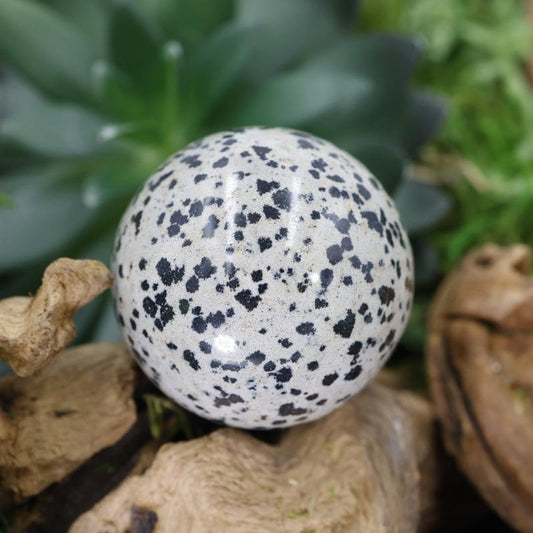Polished Dalmatian Jasper Sphere || 40 MM-Nature's Treasures