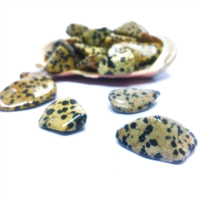 Polished Dalmatian Jasper Tumbled Stones || Energy & Alertness || Mexico-Nature's Treasures