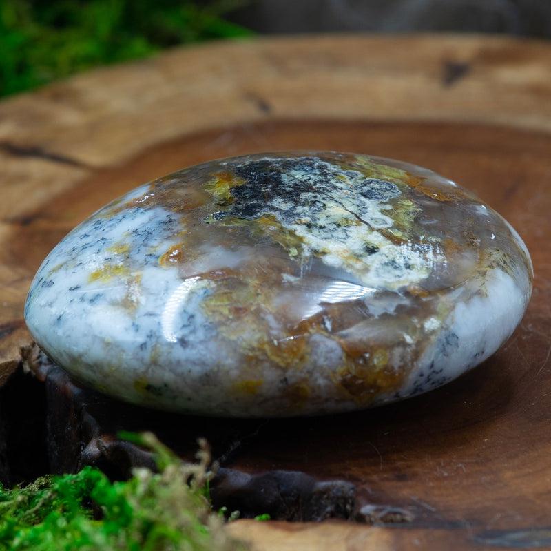 Polished Dendritic Common Opal Palm Stones || Purification-Nature's Treasures